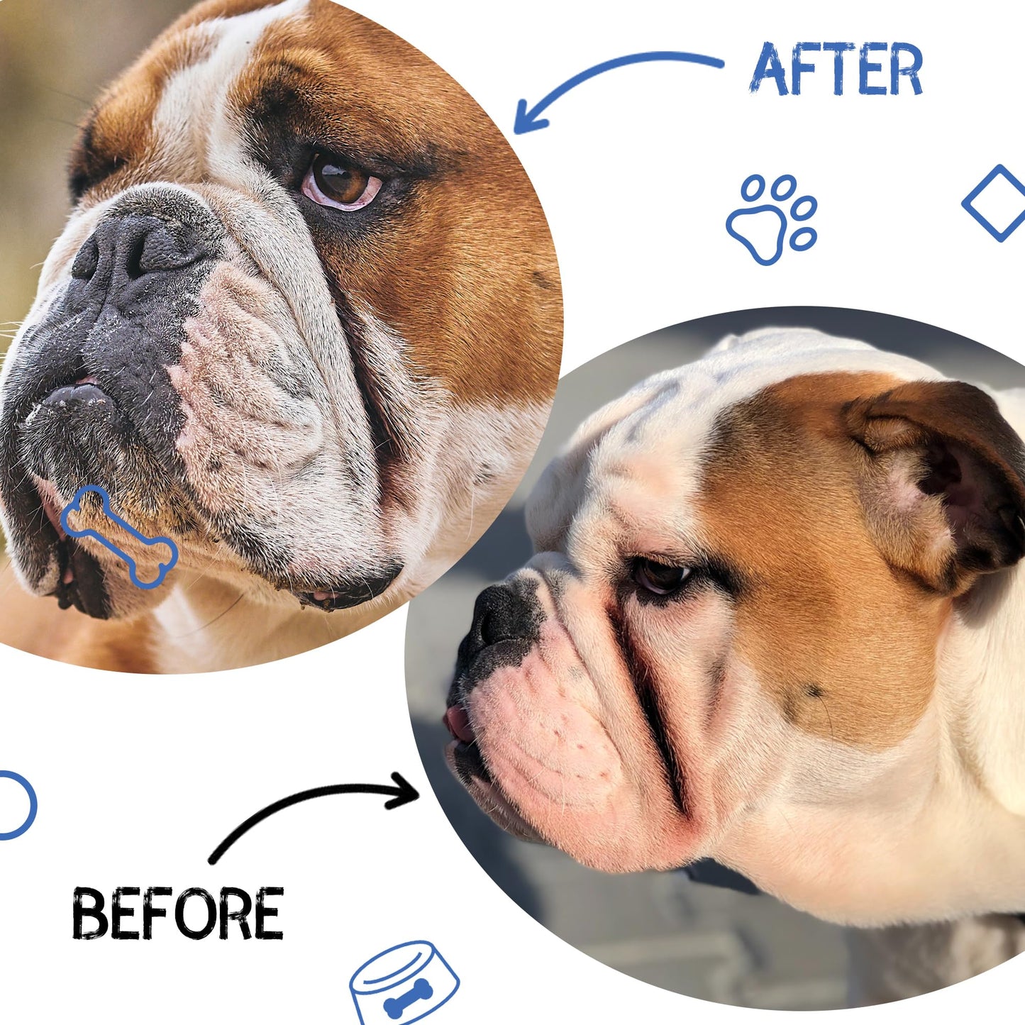 Dog Wrinkle Cream & Skin Soother - Moisturizing Paste