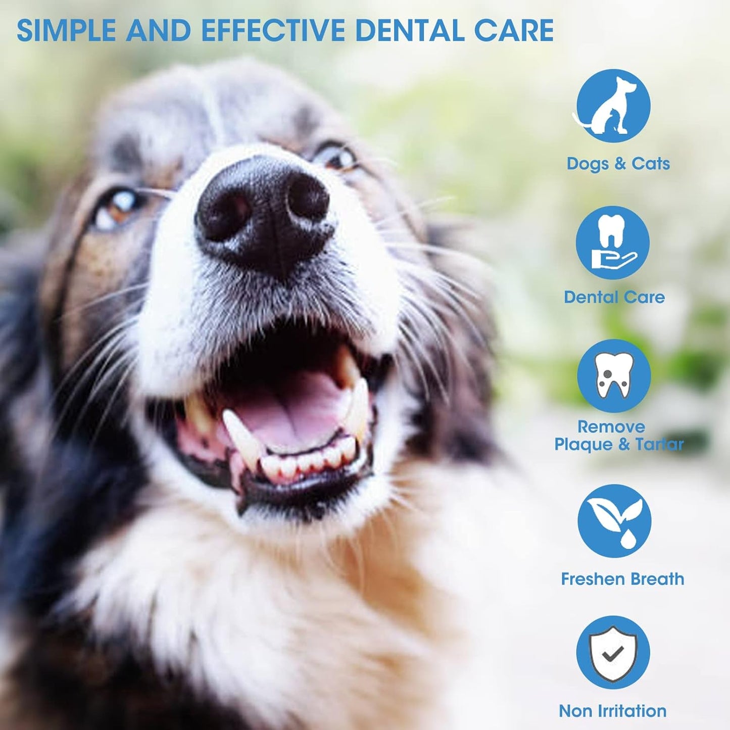 Pet Dental Care Wipes (50 ct): Natural Teeth Cleaning for Dogs & Cats