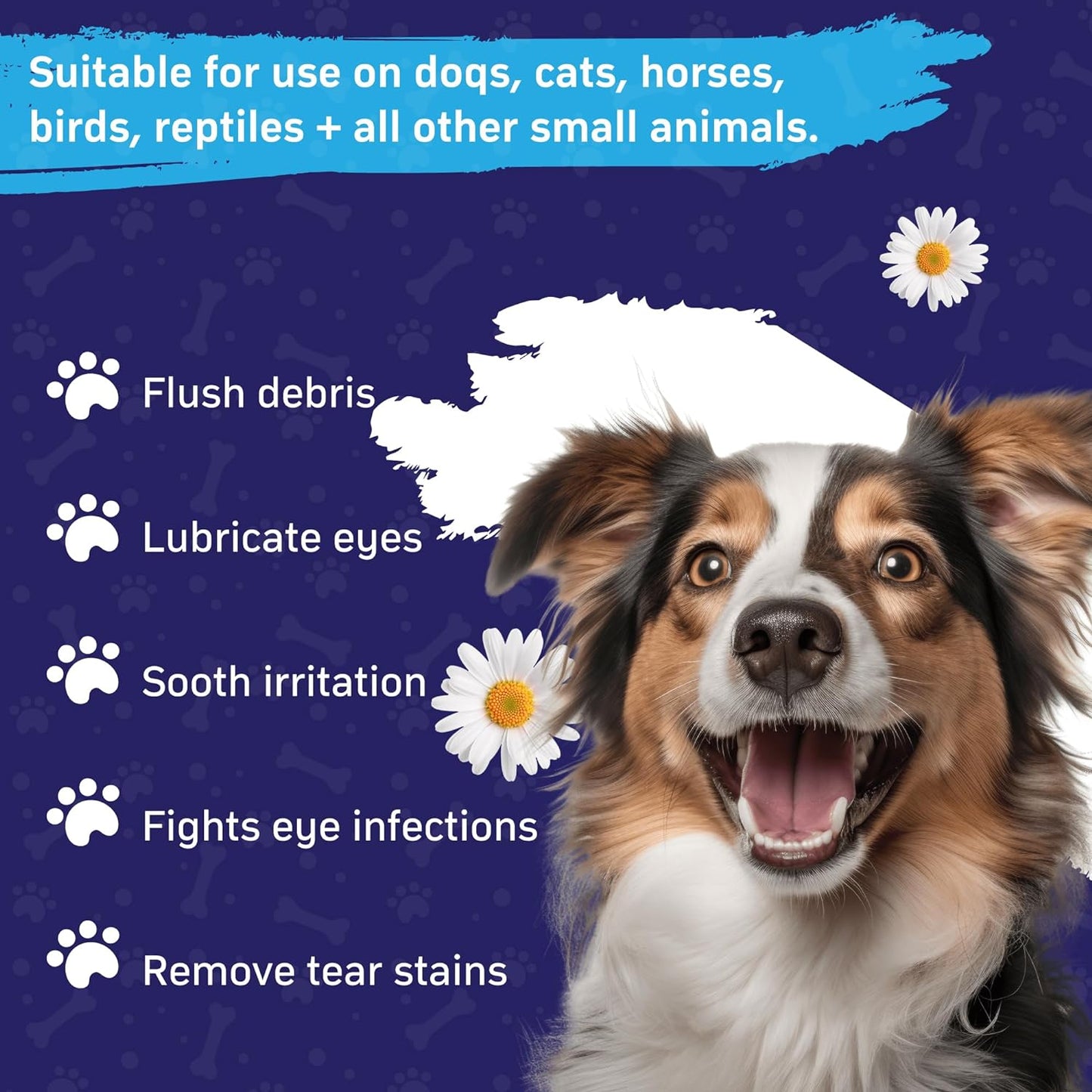 Veksun Pet Eye Wash - Gentle Formula for Dogs & Cats, 200 ML