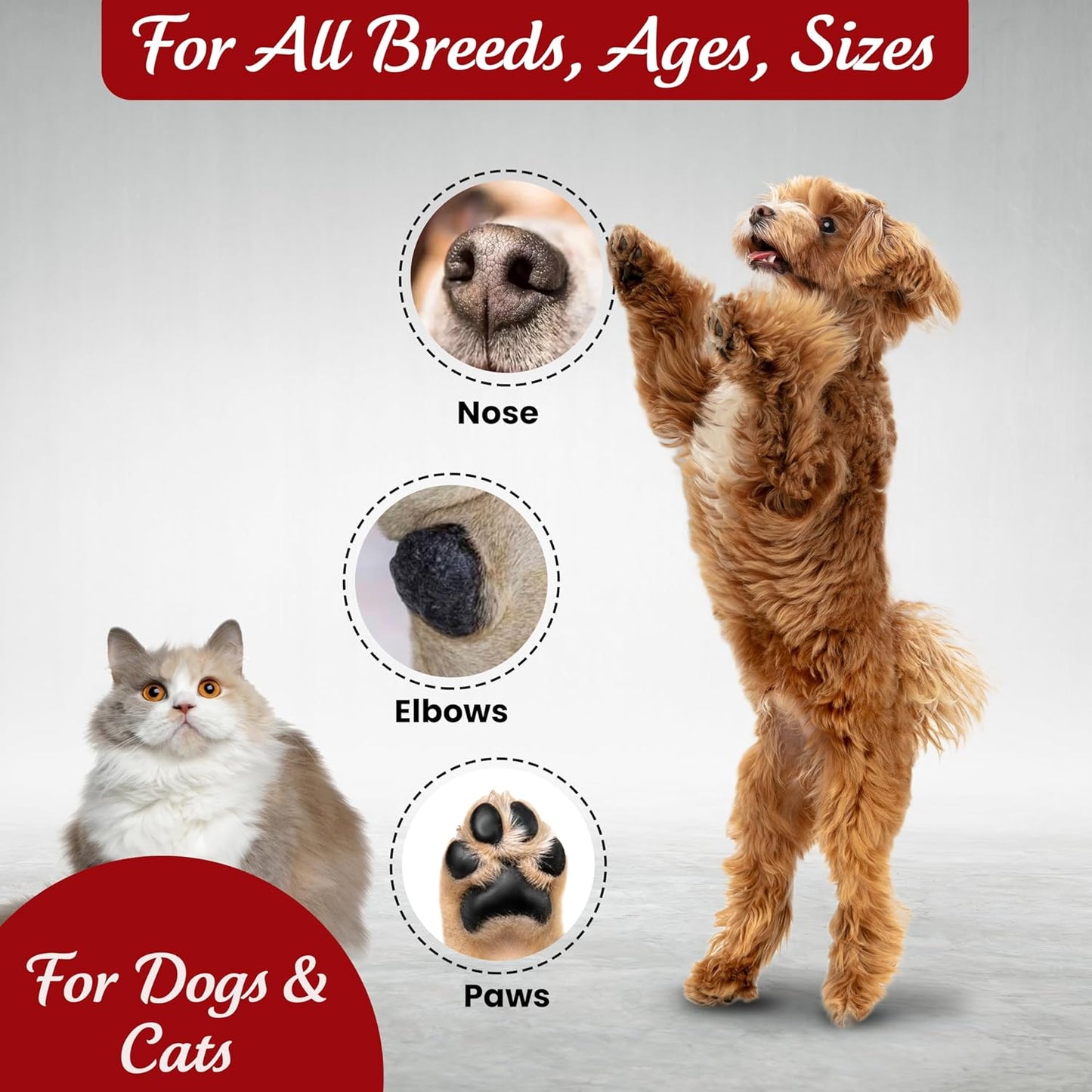Veksun Dog Paw Balm - 100g/3.5oz: All-Natural Protection for Paws & Noses