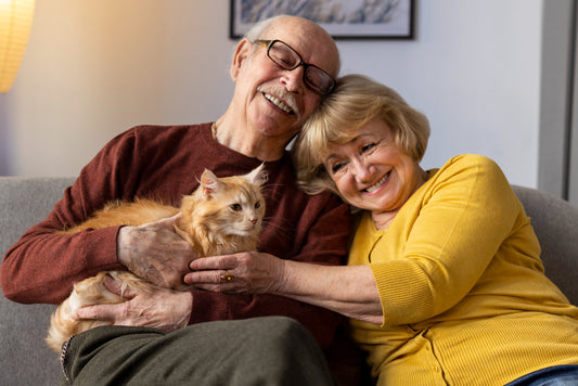 Navigating the Unique Needs of Aging Pets
