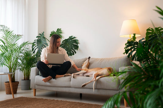 Tips for Pet-Proofing Your Living Space