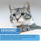 Pet Cleaning Wipes: All-Purpose Grooming Solution for Dogs & Cats (2 Travel Packs, 200 Wipes)